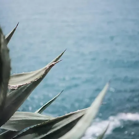 5terre, Tellaro-unica Casa Con Accesso Al Mare Телларо